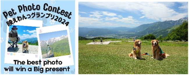 （左）キャンペーンのビジュアルイメージ （右）山頂からの風景＋ペットの写真イメージ