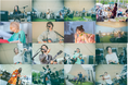 『HAKUBAヤッホー!FESTIVAL 2025』、約10,000人が来場 音楽フェスは約2,700人が山頂に集い熱気に包まれ大盛況