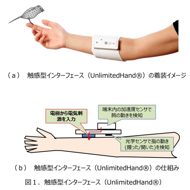 図１．触感型インターフェース（UnlimitedHand®）
