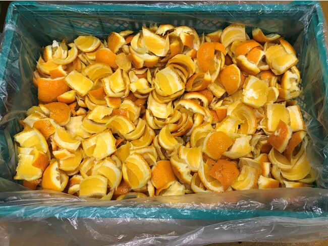 カットフルーツ工場で剥かれた甘夏の皮 カットフルーツ工場で剥かれた甘夏の皮