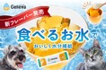 食物アレルギーを持つ犬猫のための新フレーバーを開発したい！ 水分補給に特化した犬猫用ゼリーの素「ジュレッタ」クラウドファンディング開始