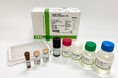 artienceと免疫生物研究所、化学合成添加剤を使用し生物由来タンパク質の使用量を9割以上削減可能にしたELISAキットを開発