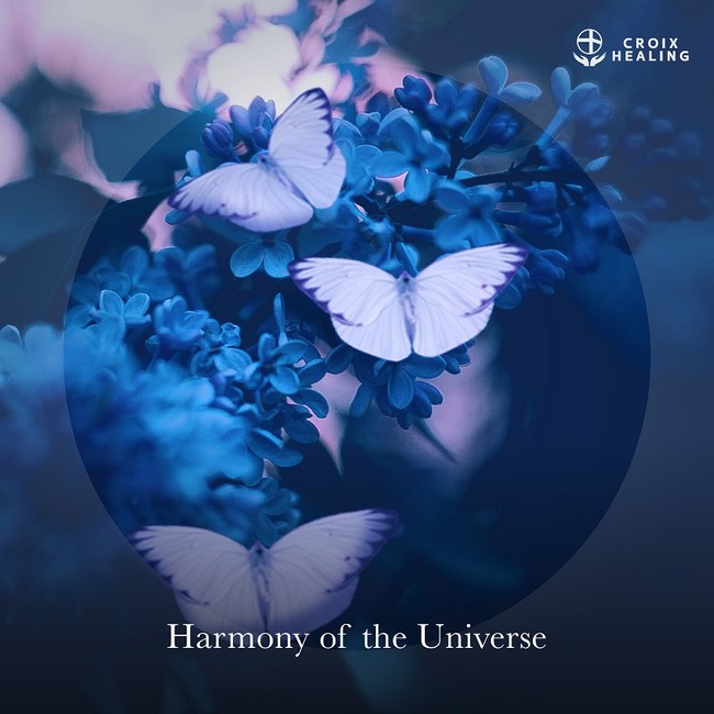 Harmony of the Universe Harmony of the Universe