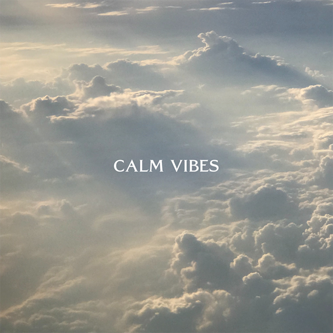 Calm Vibes Calm Vibes