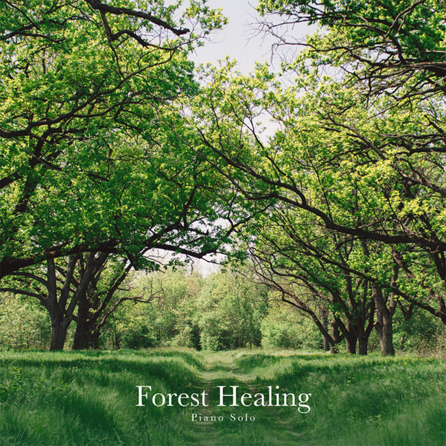 Piano Solo Forest Healing