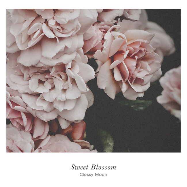 Sweet Blossom