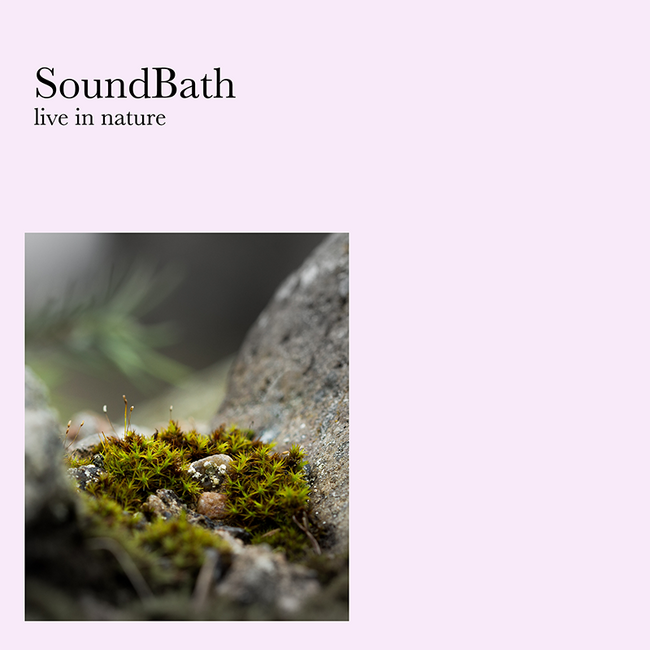 SoundBath -live in nature-