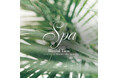 “うつくしい睡眠時間”をととのえるスパ音楽|CROIX HEALING新作『SPA Blissful Time』で静かな夜を