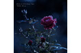 古い童話をめくるように、心を幻想の世界へと誘うヒーリング・ピアノ作品。Classy Moon『Where the Wild Roses Sleep』8月21日配信開始