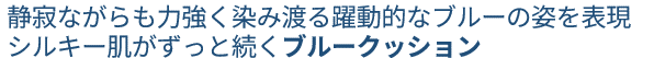 セカンドスキンメッシュマットクッション