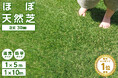 【本日20時開始！楽天お買い物マラソン】高評価★4.5以上の見た目ほぼ天然芝「リアル人工芝ロール」で庭が変わる！涼しい今が雑草対策＆施工のベストシーズン！