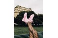 【Patou】パトゥがオニツカタイガーと初のコラボレーション