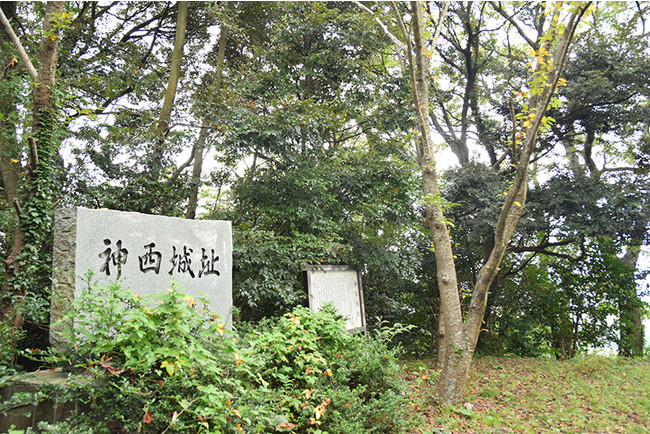 尼子氏の武将神西氏の山城で出雲市内が一望できます 尼子氏の武将神西氏の山城で出雲市内が一望できます
