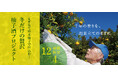 12月に採れた柚子をお酒にする「もぎたて桂木柚子で仕込む！冬だけの贅沢柚子酒プロジェクト」を販売開始