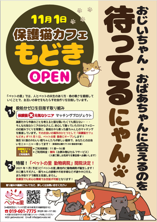 年11月1日 保護猫カフェもどき 岩手県滝沢市一般財団法人ペットの里内にオープン 一般財団法人ペットの里のプレスリリース