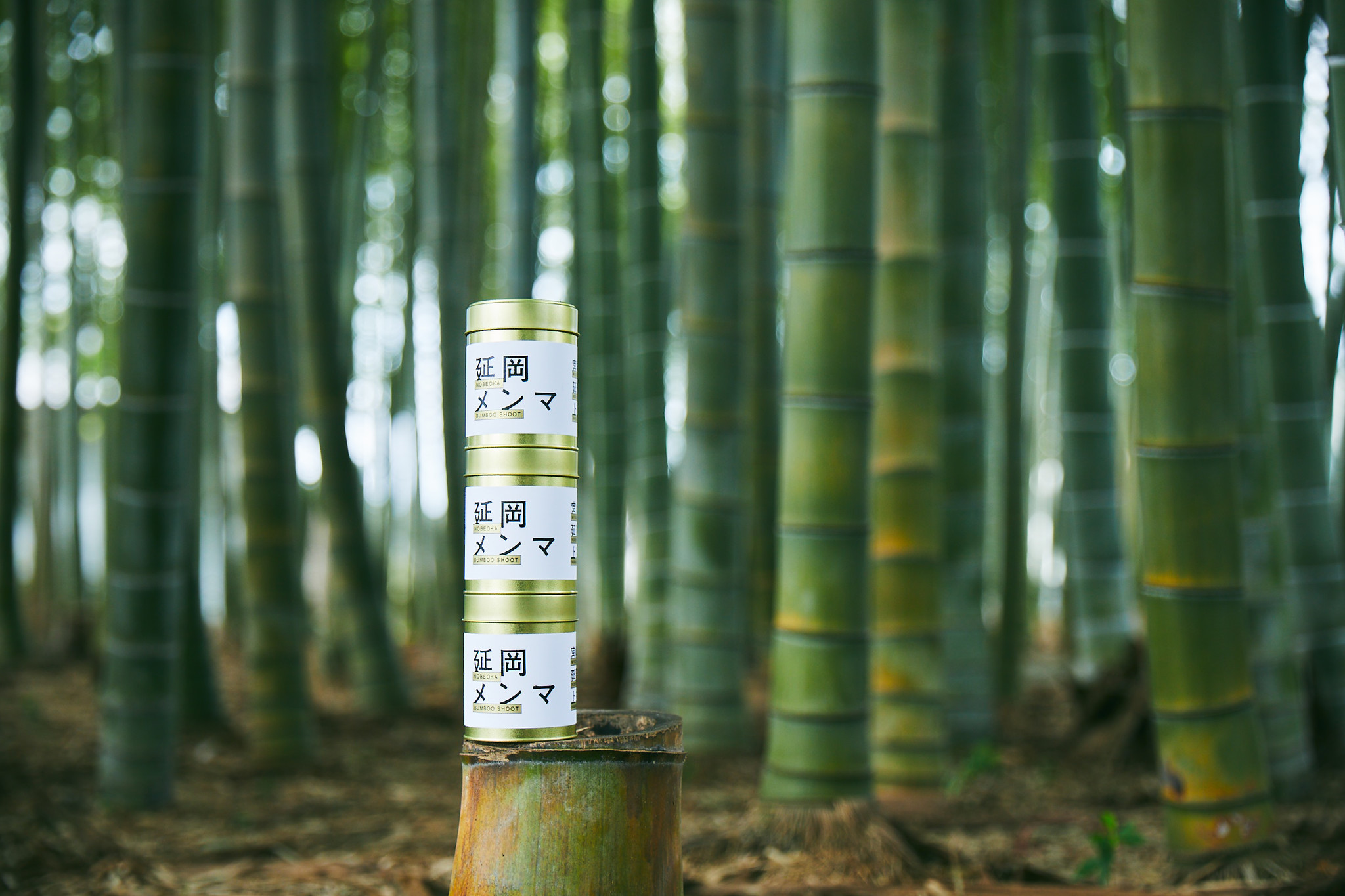 規格外のタケノコを国産メンマにして 放置竹林の課題解決へ 森を育てる 延岡メンマ を提供するlocal Bambooとja延岡が業務提携 Local Bamboo株式会社のプレスリリース