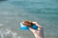 日本初のカリっと新食感の塩バターどら焼き「塩カリどら」が名物の塩どら焼き専門店「湯ノ塩」が全国にお取り寄せを開始!!