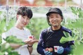 65歳からいちじく農家を始めた梶谷ファームと三朝ヨーグルトがコラボ。「いちじくヨーグルト」今シーズンの販売を開始