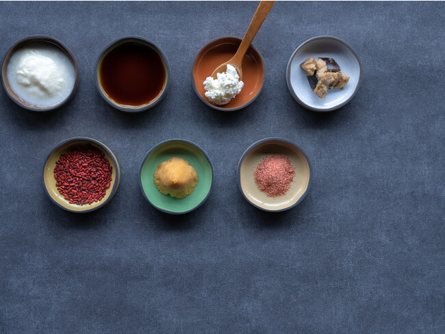 発酵をキーワードにした料理 発酵をキーワードにした料理