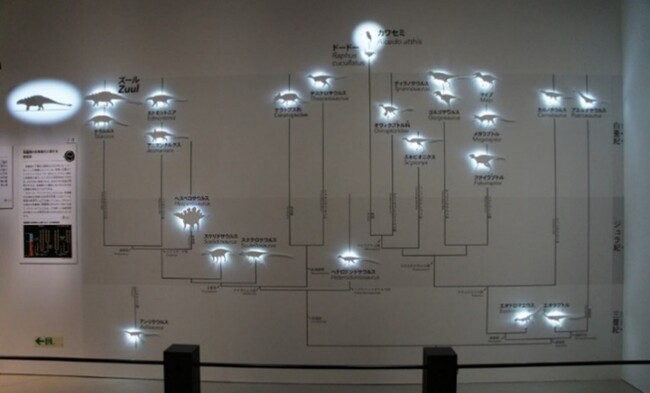 「動く進化系統樹」：光で浮かび上がる恐竜の影が動いて、進化の道筋や展示エリアをわかりやすく示していく演出