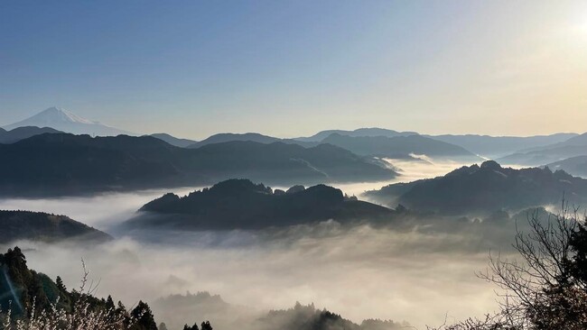 静岡市清水区両河内地区から望む富士山と雲海（写真：エネキコリ(R)）