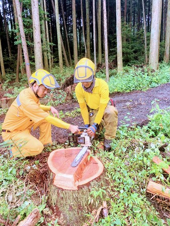 ソマウッドでは社内教育により創業以来チェーンソーによるケガ人ゼロを継続中