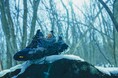 NANGA(ナンガ)Flower MOUNTAINとのコラボレーションシューズ第二弾が登場!