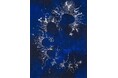 鈴木ヒラク「海と記号」展 4月25日(金)から開催
