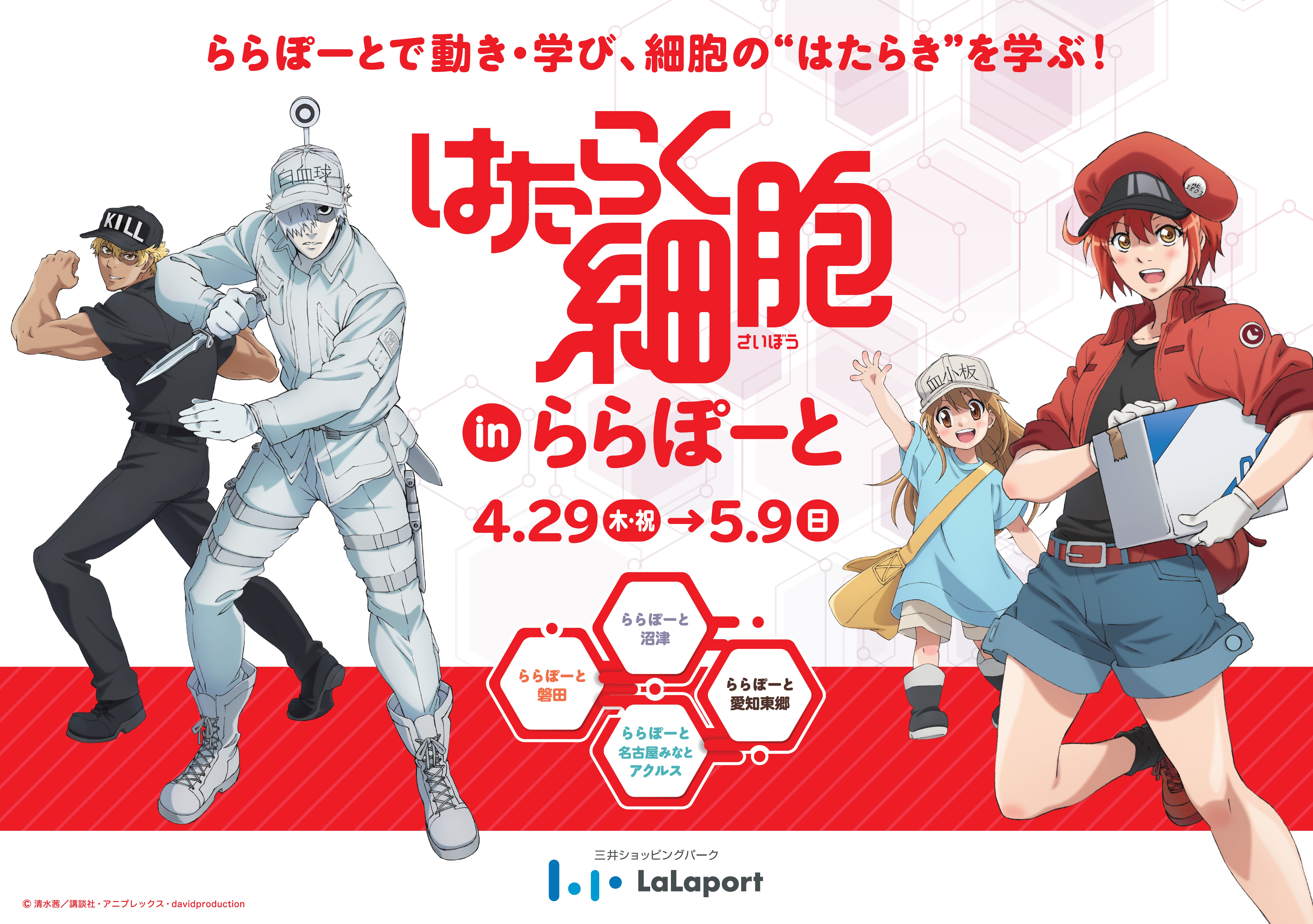 ららぽーとで動き 学び 細胞の はたらき を学ぶ はたらく細胞 In ららぽーと 開催 三井不動産商業マネジメント株式会社のプレスリリース