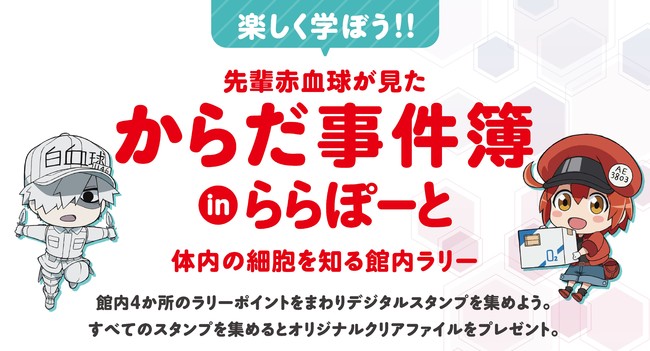 ららぽーとで動き 学び 細胞の はたらき を学ぶ はたらく細胞 In ららぽーと 開催 三井不動産商業マネジメント株式会社のプレスリリース