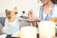 北軽井沢のドッグフレンドリーなヴィラリゾート「あさま空山望」、「愛犬の無添加ごちそう付きプラン」を4月18日(金)より提供開始