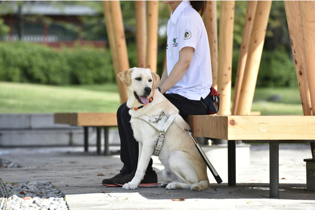 写真提供：日本盲導犬協会