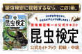 「昆虫検定」合格をめざせ！ 唯一の公式テキストが登場『昆虫検定公式ガイドブック　初級・中級』 8/12発売