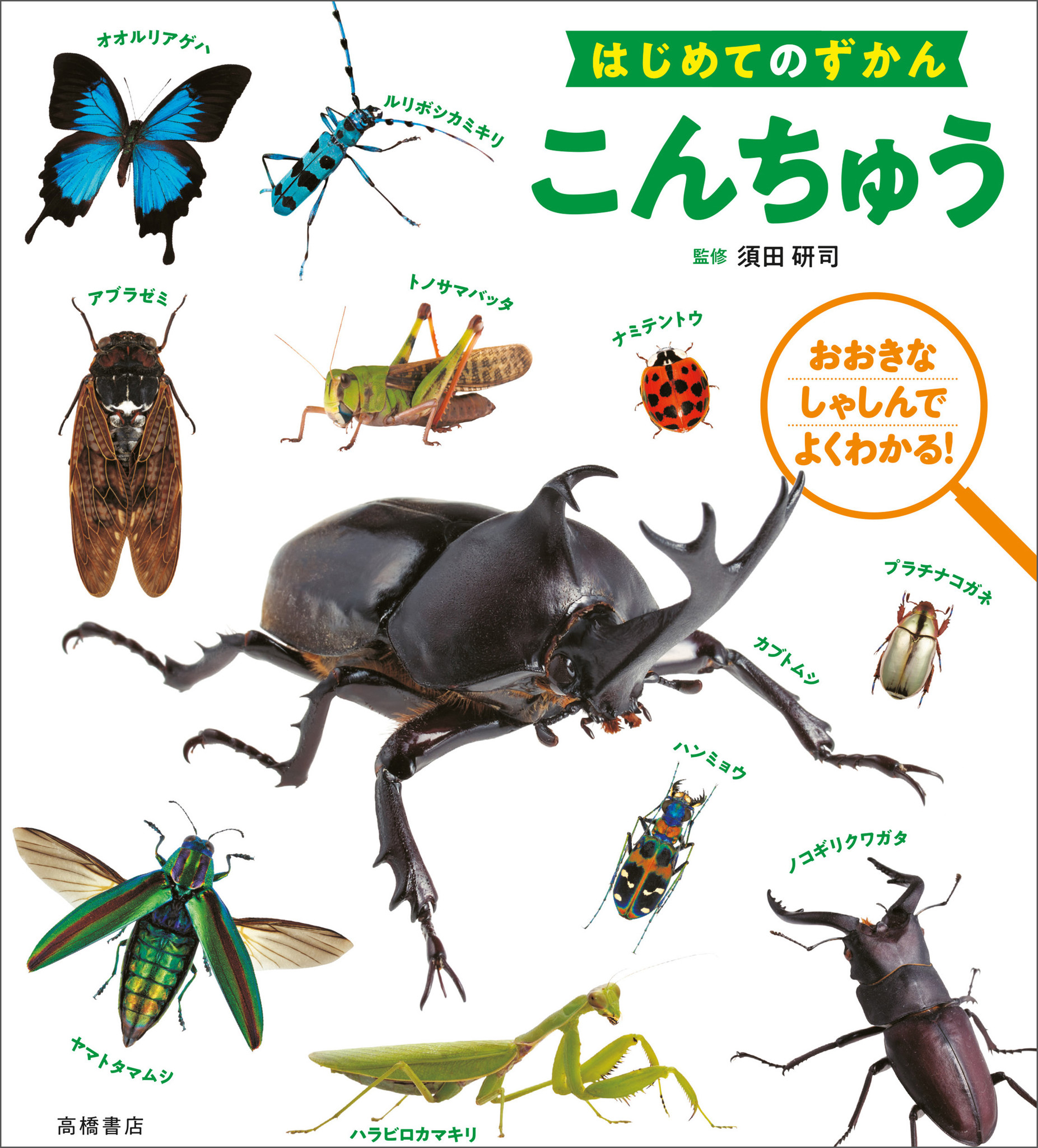 今年の夏は はじめてのずかん こんちゅう で昆虫博士に 株式会社 高橋書店のプレスリリース