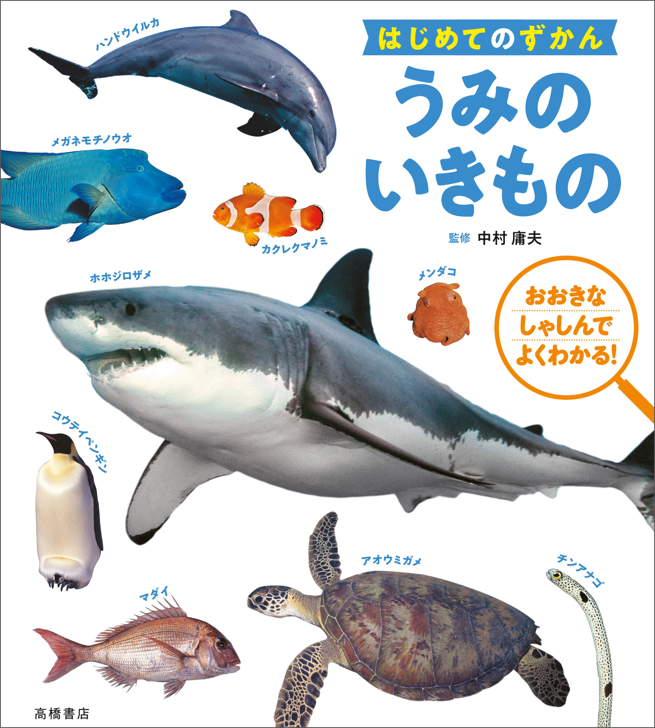 はじめてのずかん うみのいきもの は 見て読んで 親子で楽しむ水族館 株式会社 高橋書店のプレスリリース
