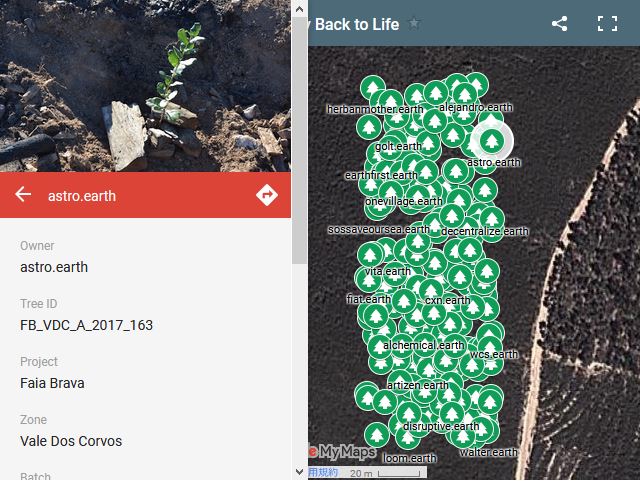 ～ドメイン1登録につき、山火事現場へ1本植林～「.earth」2周年記念チャリティー“1Domain For 1Tree”、まずは約200本の植林を完了