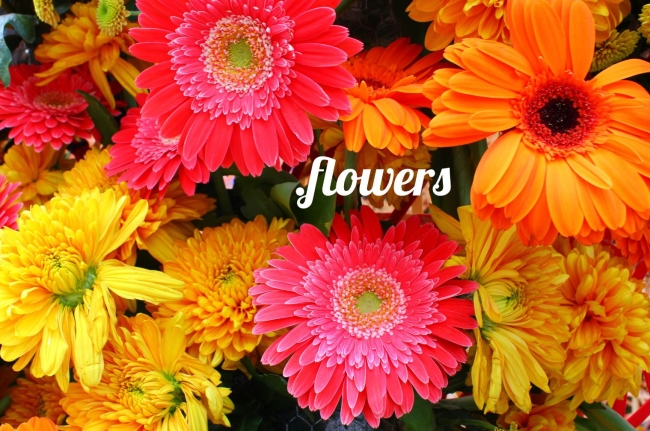 花の日キャンペーン開催 お花にピッタリなドメイン Flowers を28 オフでご提供 株式会社インターリンクのプレスリリース