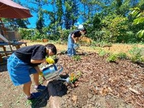 苗植えや水やりも体験可