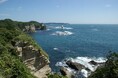 ~海洋生態系の回復と地域資源の持続可能な活用を目指して~「勝浦市藻場保全対策協議会」を設置
