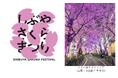 渋谷サクラステージで「しぶやさくらまつり」開催