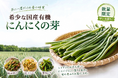 【早い者勝ち！】年に一度だけの春の味覚、希少な国産有機「にんにく王の芽」今年も数量限定で予約販売中
