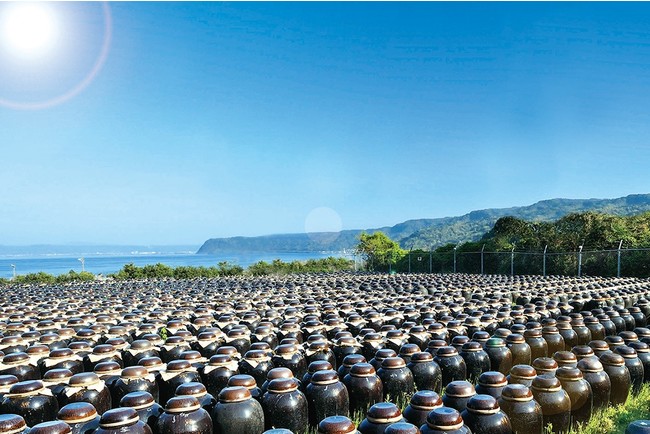 ▲鹿児島県・福山町の黒酢つぼ畑