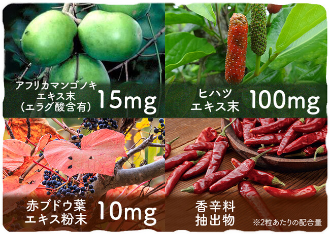 ▲安心して飲める4つの植物由来サポート成分も配合 ▲安心して飲める4つの植物由来サポート成分も配合