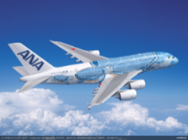 エアバスA380型機「FLYINGHONU」の別機体になる場合があります。(イメージ)
