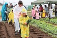 赤ねぎ・サツマイモの定植にチャレンジ　伊勢崎市「みんなの畑」で農業体験　5月30日（土）〔群馬〕