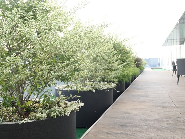 従業員休憩室に隣接のテラスはプランターを配置 従業員休憩室に隣接のテラスはプランターを配置