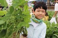 4月に種まきした枝豆やトウモロコシを収穫　伊勢崎市で心育む農業体験　7月11日（土）〔群馬〕
