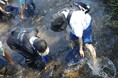 夏休みにラムサール条約登録湿地「涸沼（ひぬま）」で生き物観察会　7月26日（日）〔茨城 栃木〕