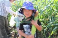 6月に植えたトウモロコシを収穫　昭和村「宮田さんち」の畑で農業体験会　8月1日（土）〔群馬〕