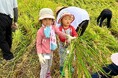 秋田県横手と湯沢で米とリンゴの収穫体験　実りの産地の今を知る9月12日（土）13日（日）〔東京・千葉〕